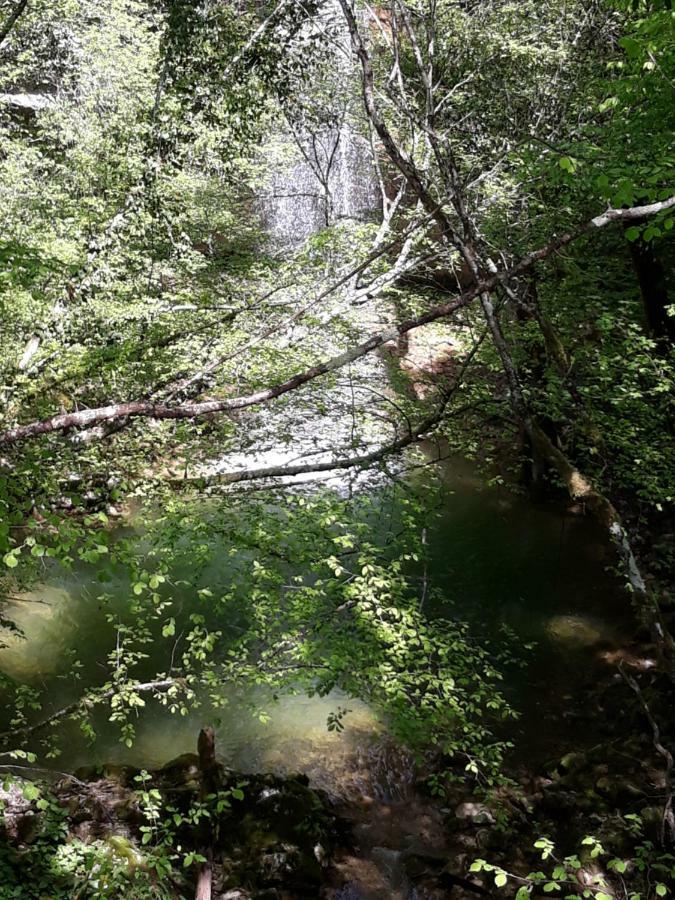 Kuca Za Odmor Luna Buje Exteriér fotografie